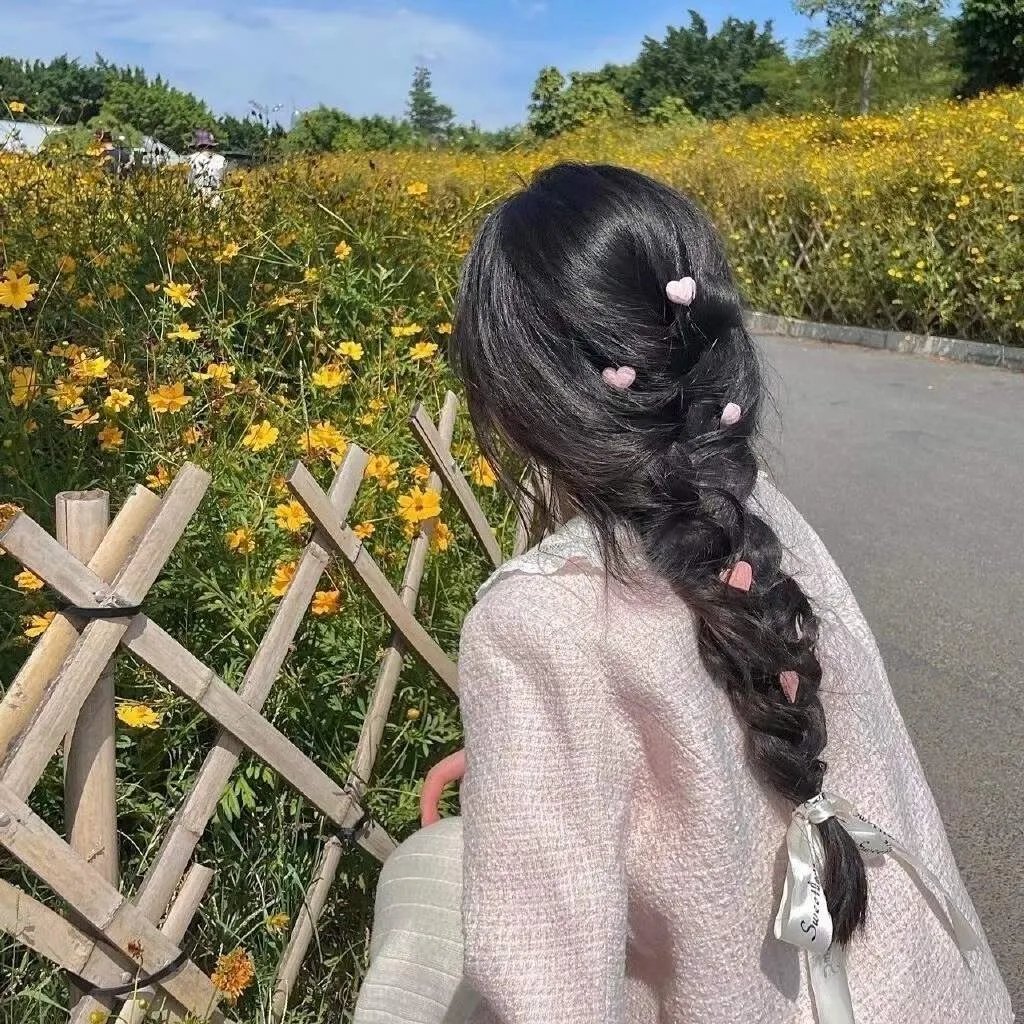 暴风雪中的白鸟